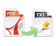 pdf to txt conversion